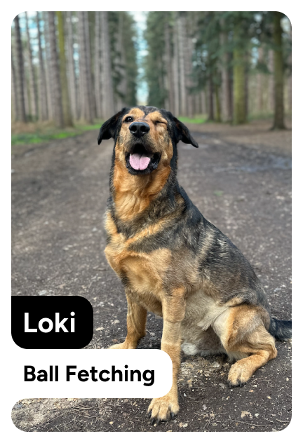 Back of loki's card
